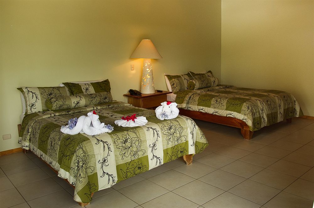 Ficus Lodge Monteverde Exterior photo